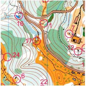 Orienteering map - sample only